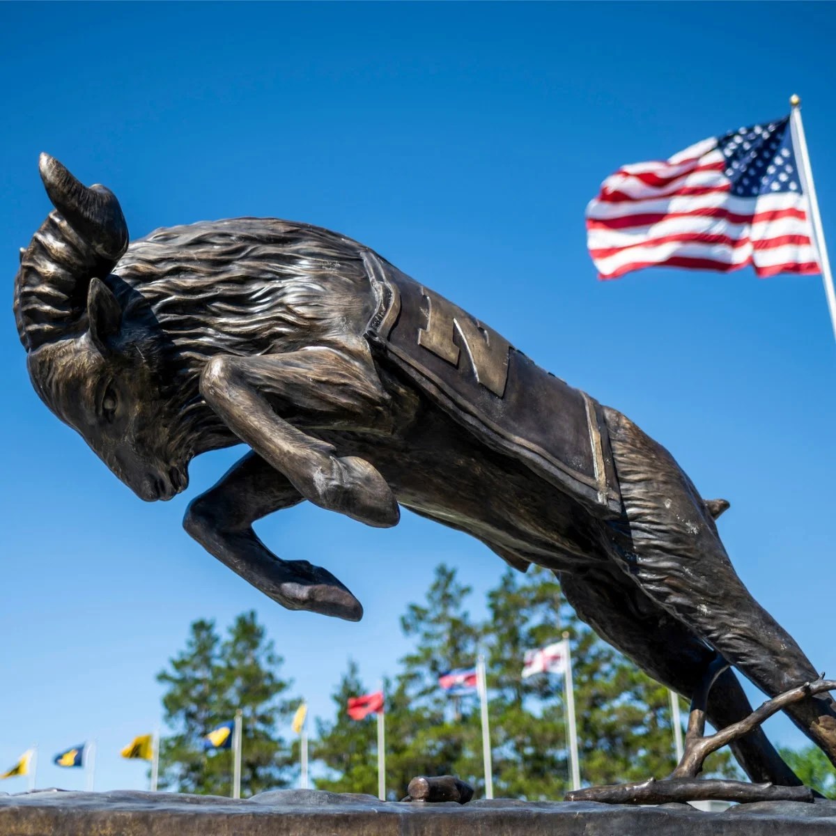 The Making of a Mascot Bill the Goat